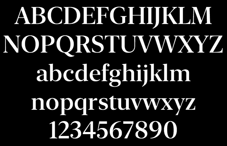 Apple-new-york-serif-typeface_01