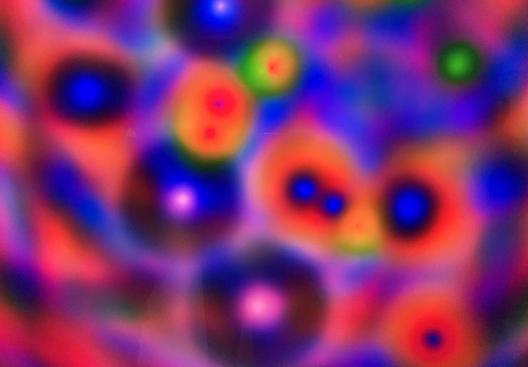 ザック・リーバーマン 「10 LIGHTS」clinic（東京／三軒茶屋）